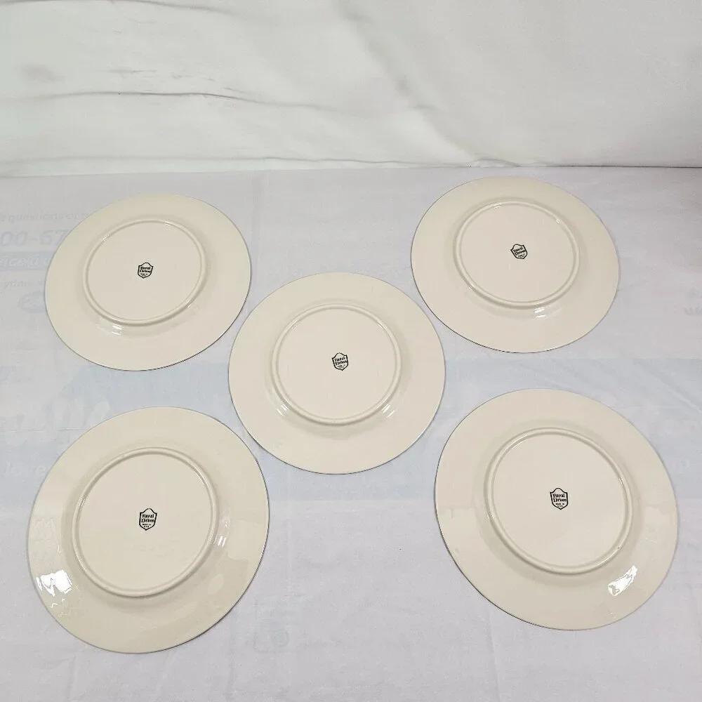 Royal Devon USA Simplicity Platinum 8 ¼” Salad Luncheon Plates – Set of 5